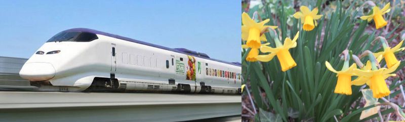 �A�z����Ȃ����ˁi60�� �Ȃ�悤�ɂȂ邳�I�Ȃ�Ƃ��Ȃ邳�I�Ȃ�Ƃ����邳�I�j