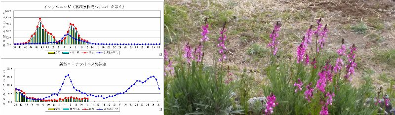 ��D�̓��a���i60�� �Ȃ�悤�ɂȂ邳�I�Ȃ�Ƃ��Ȃ邳�I�Ȃ�Ƃ����邳�I�j