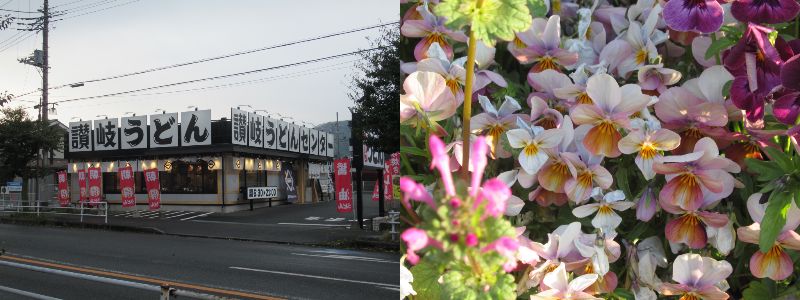 60�� �Ȃ�悤�ɂȂ邳�I�Ȃ�Ƃ��Ȃ邳�I�Ȃ�Ƃ����邳�I