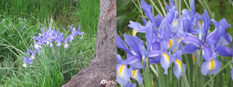 ����7000���ɓ͂����i60�� �Ȃ�悤�ɂȂ邳�I�Ȃ�Ƃ��Ȃ邳�I�Ȃ�Ƃ����邳�I�j