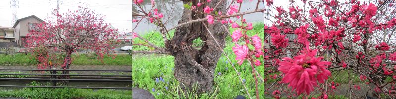 60�� �Ȃ�悤�ɂȂ邳�I�Ȃ�Ƃ��Ȃ邳�I�Ȃ�Ƃ����邳�I