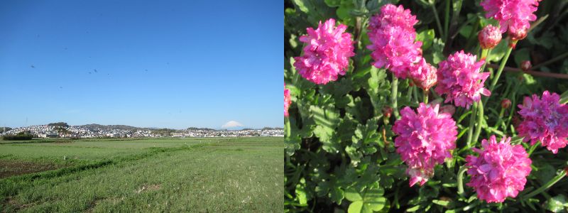 ���A�ڂ̑O�ɂ����@�́i60�� �Ȃ�悤�ɂȂ邳�I�Ȃ�Ƃ��Ȃ邳�I�Ȃ�Ƃ����邳�I�j