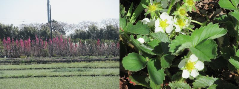 ���v�Ȃ�ł����ˁi60�� �Ȃ�悤�ɂȂ邳�I�Ȃ�Ƃ��Ȃ邳�I�Ȃ�Ƃ����邳�I�j