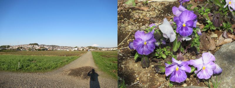 ���łȂ����Ƃ��F��̂݁i60�� �Ȃ�悤�ɂȂ邳�I�Ȃ�Ƃ��Ȃ邳�I�Ȃ�Ƃ����邳�I�j