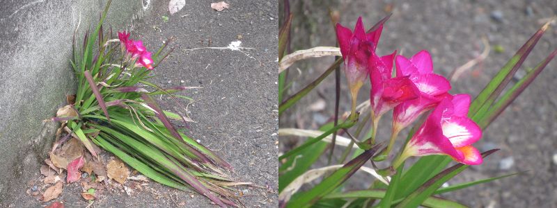 60�� �Ȃ�悤�ɂȂ邳�I�Ȃ�Ƃ��Ȃ邳�I�Ȃ�Ƃ����邳�I