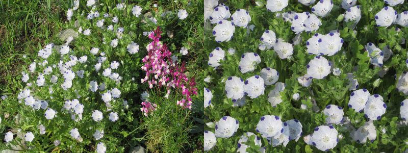 60�� �Ȃ�悤�ɂȂ邳�I�Ȃ�Ƃ��Ȃ邳�I�Ȃ�Ƃ����邳�I