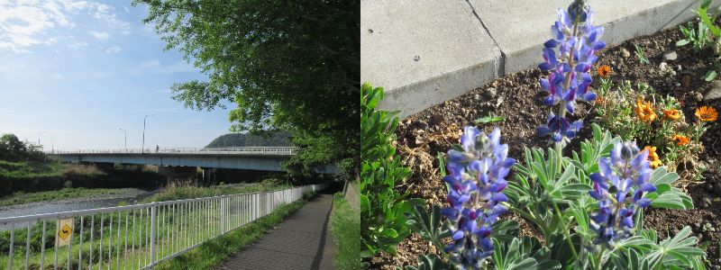 60�� �Ȃ�悤�ɂȂ邳�I�Ȃ�Ƃ��Ȃ邳�I�Ȃ�Ƃ����邳�I