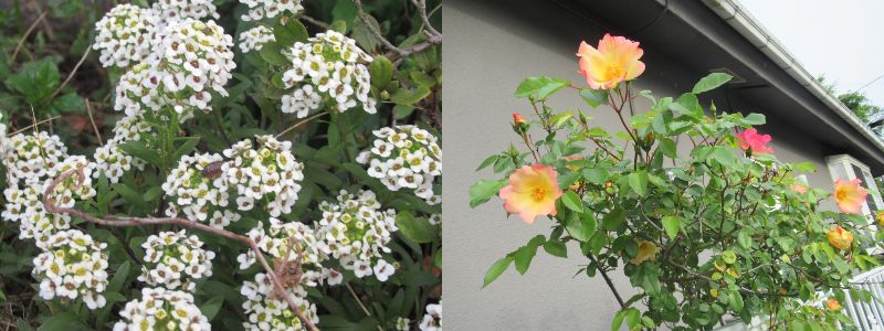 60�� �Ȃ�悤�ɂȂ邳�I�Ȃ�Ƃ��Ȃ邳�I�Ȃ�Ƃ����邳�I