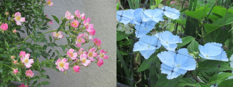 60�� �Ȃ�悤�ɂȂ邳�I�Ȃ�Ƃ��Ȃ邳�I�Ȃ�Ƃ����邳�I