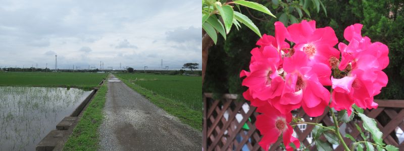 60�� �Ȃ�悤�ɂȂ邳�I�Ȃ�Ƃ��Ȃ邳�I�Ȃ�Ƃ����邳�I