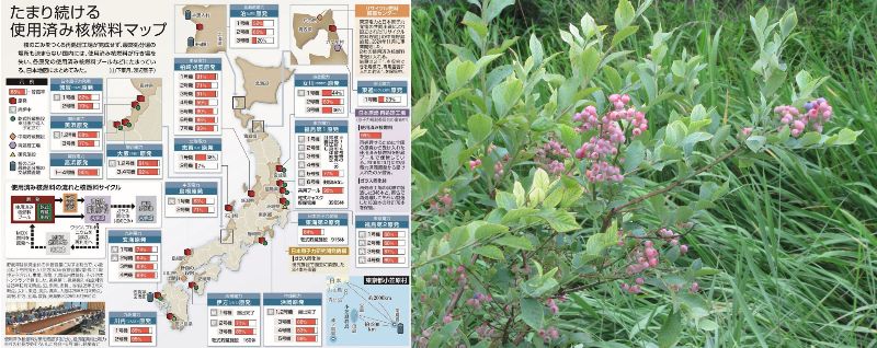 60�� �Ȃ�悤�ɂȂ邳�I�Ȃ�Ƃ��Ȃ邳�I�Ȃ�Ƃ����邳�I