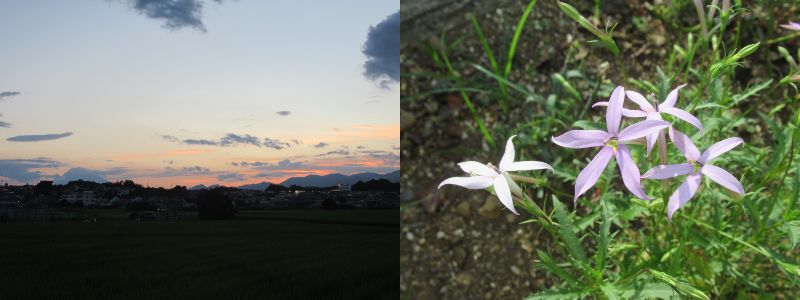 60�� �Ȃ�悤�ɂȂ邳�I�Ȃ�Ƃ��Ȃ邳�I�Ȃ�Ƃ����邳�I