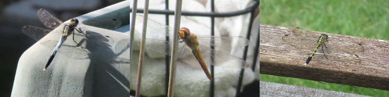 60�� �Ȃ�悤�ɂȂ邳�I�Ȃ�Ƃ��Ȃ邳�I�Ȃ�Ƃ����邳�I