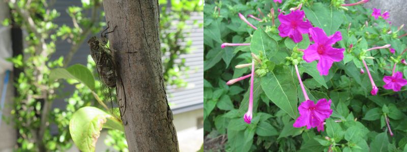 60�� �Ȃ�悤�ɂȂ邳�I�Ȃ�Ƃ��Ȃ邳�I�Ȃ�Ƃ����邳�I