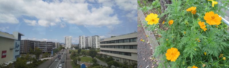 ���s���̃G�l���M�[���i60�� �Ȃ�悤�ɂȂ邳�I�Ȃ�Ƃ��Ȃ邳�I�Ȃ�Ƃ����邳�I�j