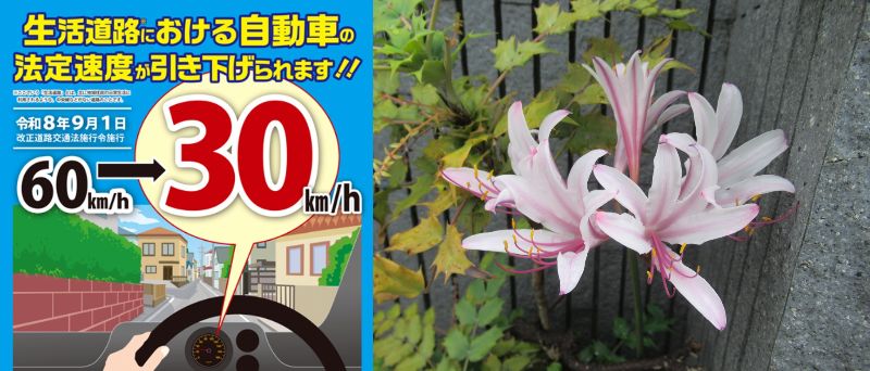 60�� �Ȃ�悤�ɂȂ邳�I�Ȃ�Ƃ��Ȃ邳�I�Ȃ�Ƃ����邳�I