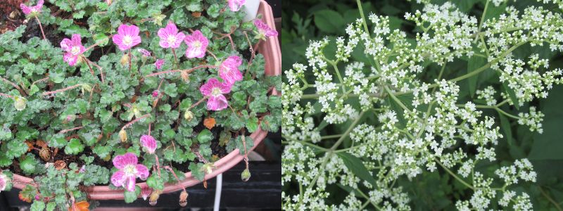 60�� �Ȃ�悤�ɂȂ邳�I�Ȃ�Ƃ��Ȃ邳�I�Ȃ�Ƃ����邳�I