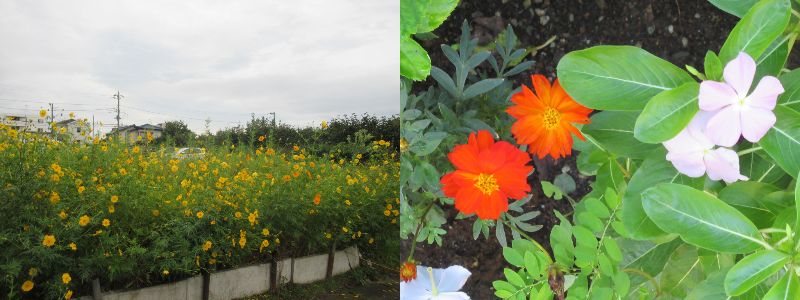 �����͉՗����ł���i60�� �Ȃ�悤�ɂȂ邳�I�Ȃ�Ƃ��Ȃ邳�I�Ȃ�Ƃ����邳�I�j