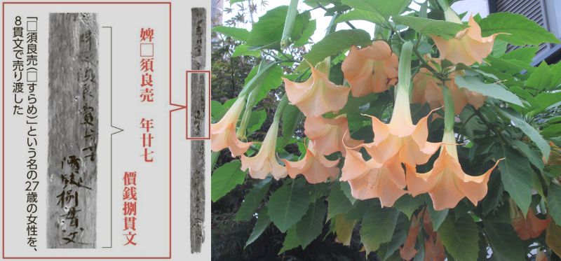 60�� �Ȃ�悤�ɂȂ邳�I�Ȃ�Ƃ��Ȃ邳�I�Ȃ�Ƃ����邳�I