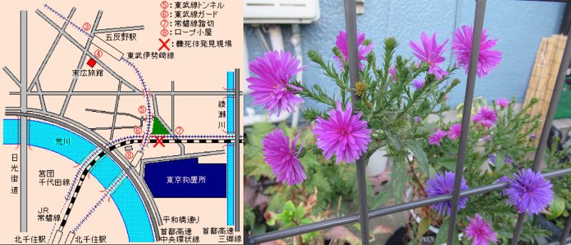 �����N����̂�������Ȃ��i60�� �Ȃ�悤�ɂȂ邳�I�Ȃ�Ƃ��Ȃ邳�I�Ȃ�Ƃ����邳�I�j