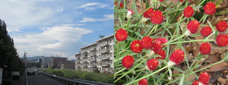 �����΍�̑��e�́i60�� �Ȃ�悤�ɂȂ邳�I�Ȃ�Ƃ��Ȃ邳�I�Ȃ�Ƃ����邳�I�j