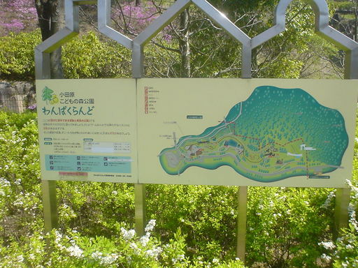 �������đf�G���ˁI