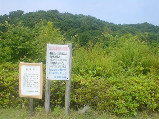 �������đf�G���ˁI