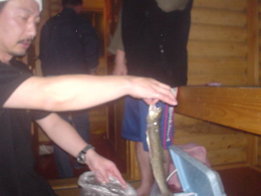 �������đf�G���ˁI