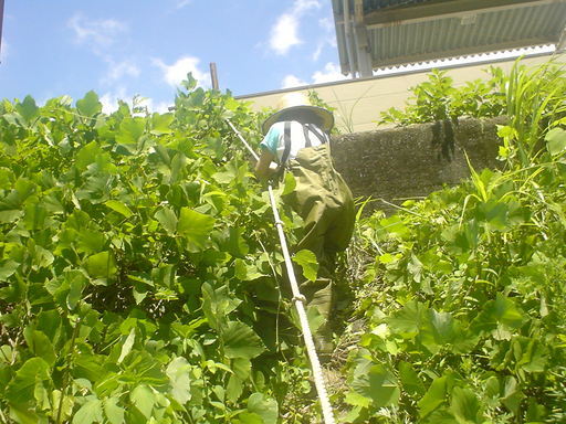 �������đf�G���ˁI