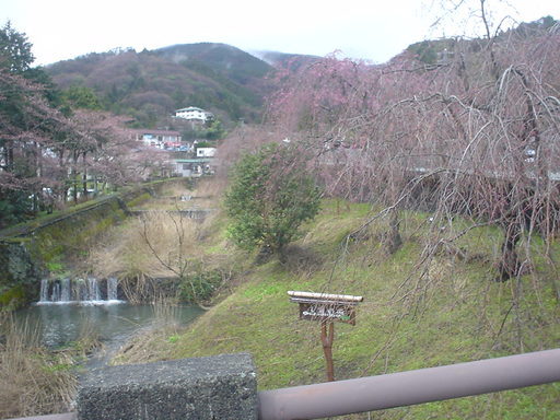 �������đf�G���ˁI