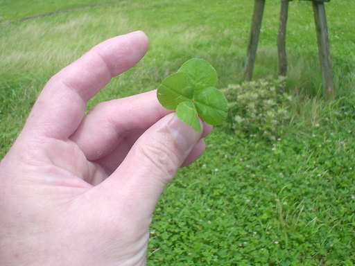 �������đf�G���ˁI