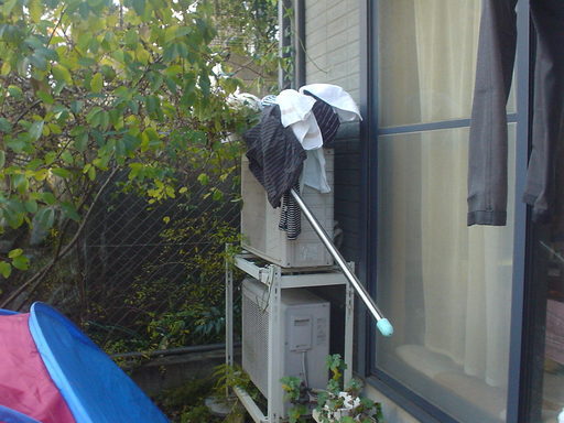 �������đf�G���ˁI