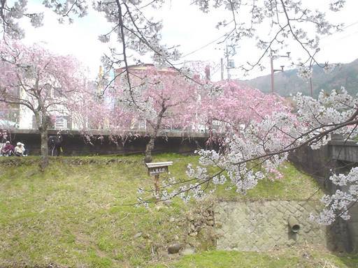 �������đf�G���ˁI