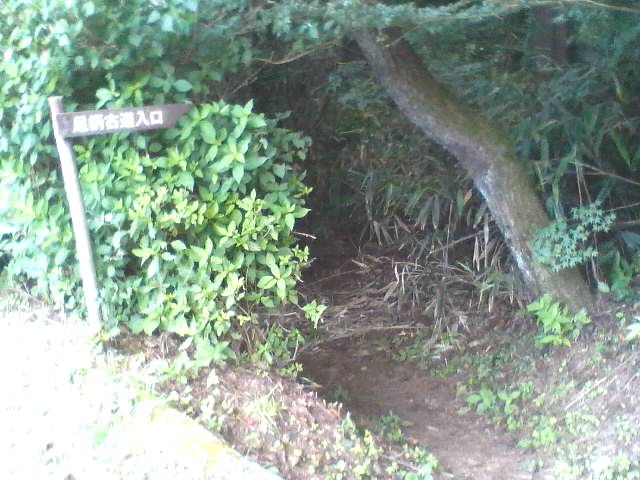 �������đf�G���ˁI