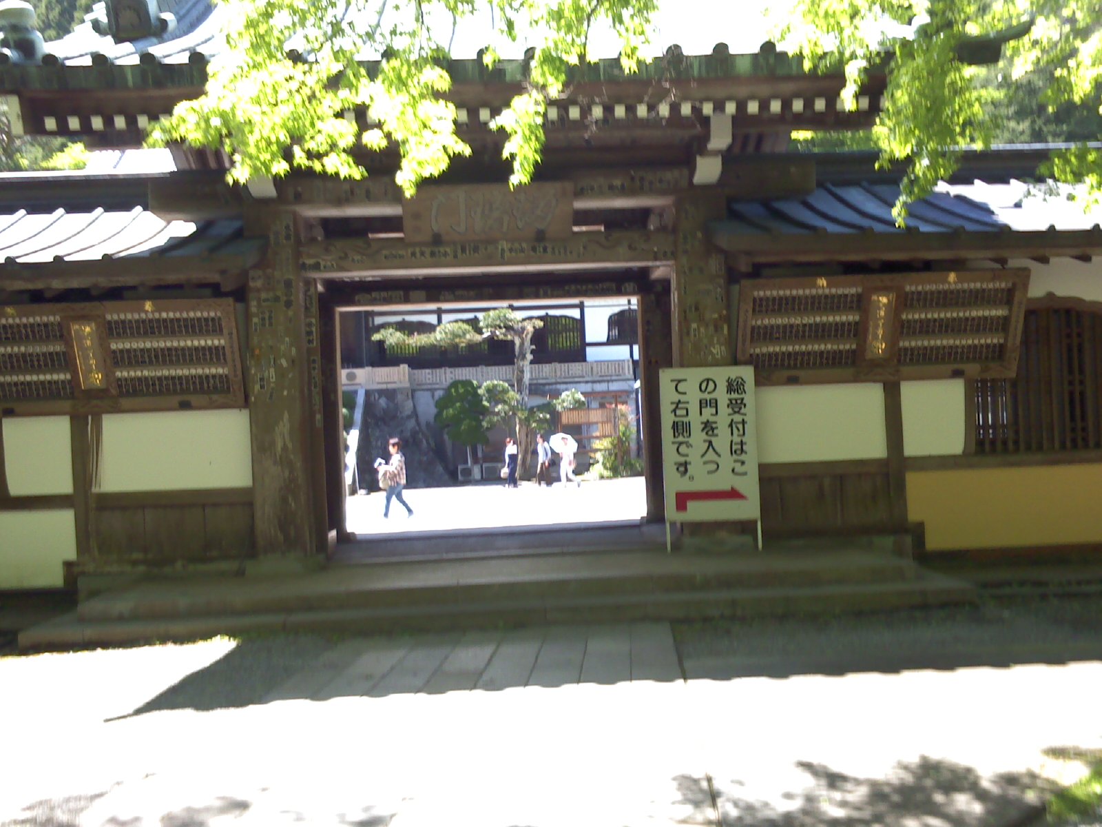 �������đf�G���ˁI