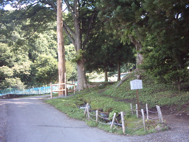 �������đf�G���ˁI