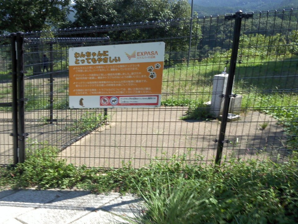 �������đf�G���ˁI