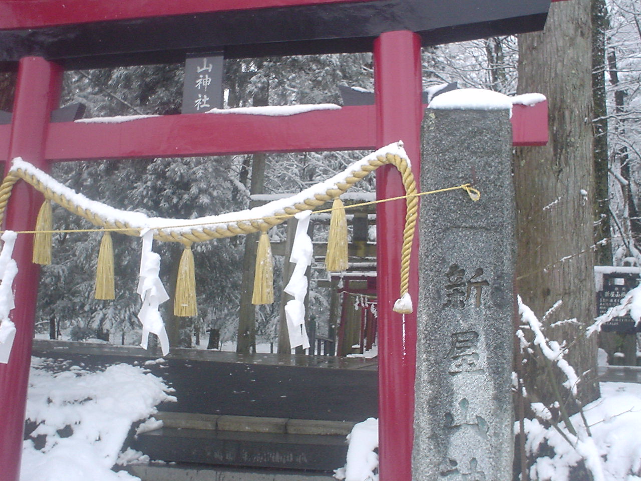 �������đf�G���ˁI