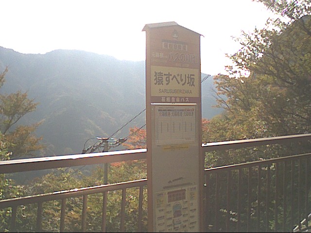 �������đf�G���ˁI