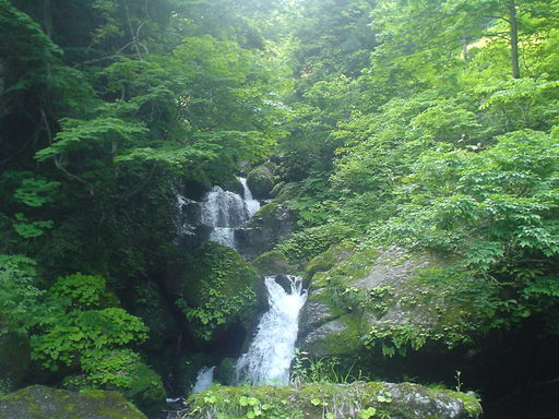 �������đf�G���ˁI