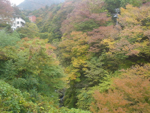 �������đf�G���ˁI