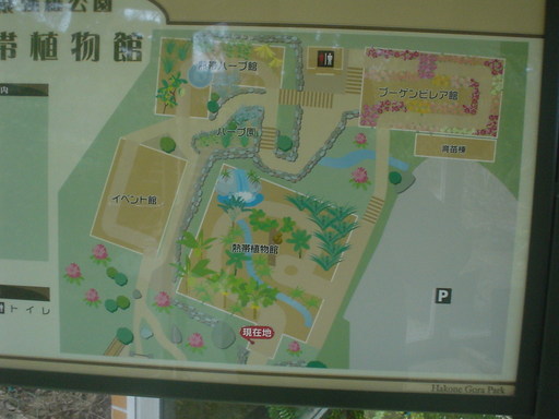 �������đf�G���ˁI