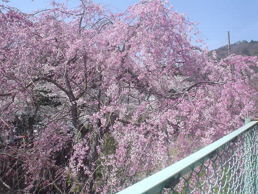 �������đf�G���ˁI