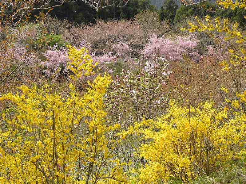 �m�d�s�R�x��h�g�`�k�t�h