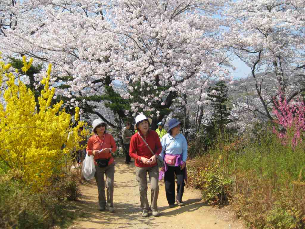 �m�d�s�R�x��h�g�`�k�t�h