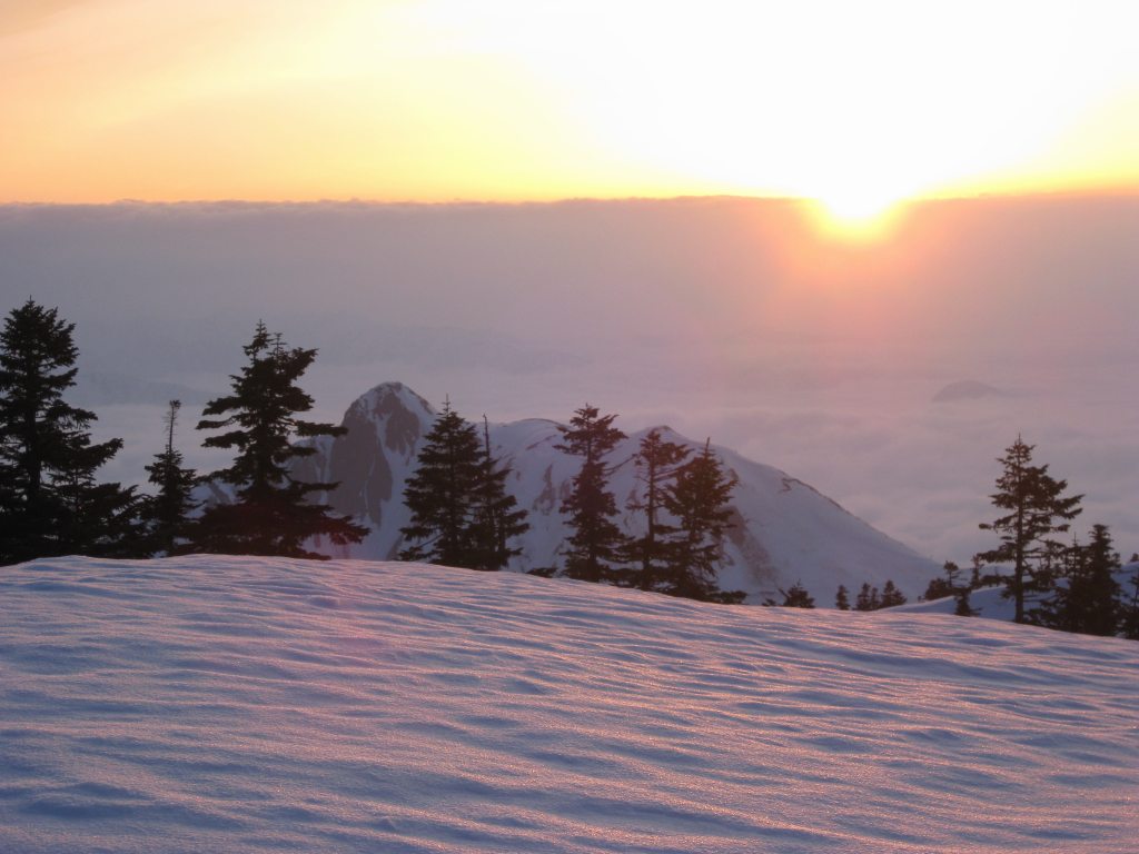 �m�d�s�R�x��h�g�`�k�t�h