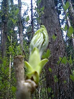 �m�d�s�R�x��h�g�`�k�t�h