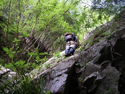 �m�d�s�R�x��h�g�`�k�t�h