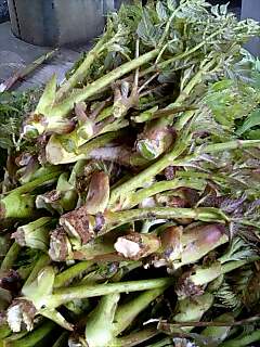 �m�d�s�R�x��h�g�`�k�t�h