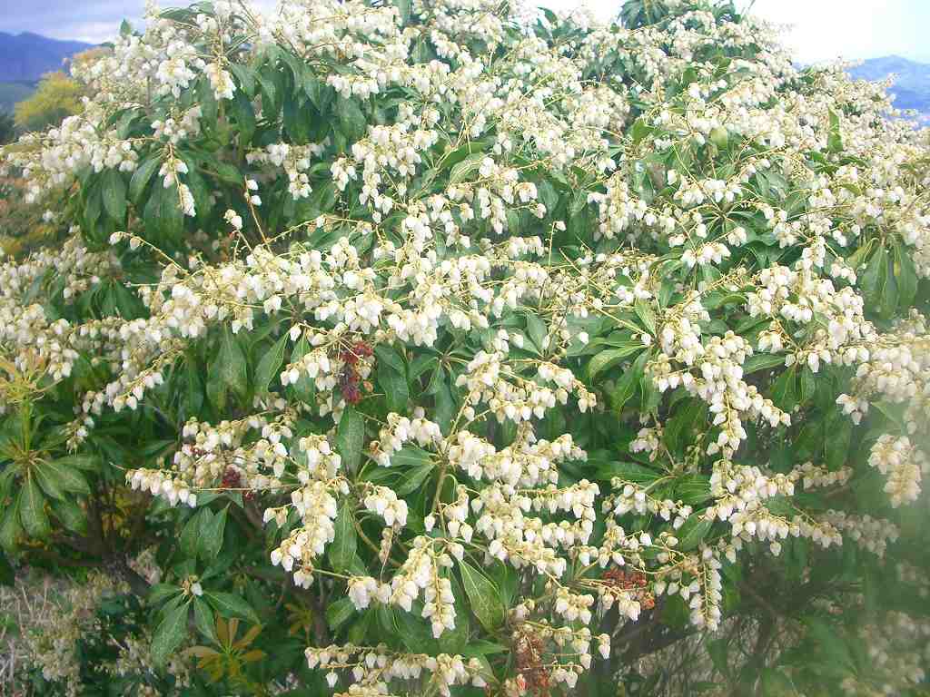 �m�d�s�R�x��h�g�`�k�t�h